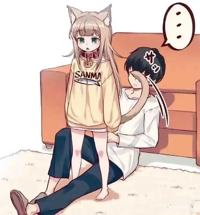 西檬之家-k8是什么？理解猫系角色在BDSM中的独特魅力