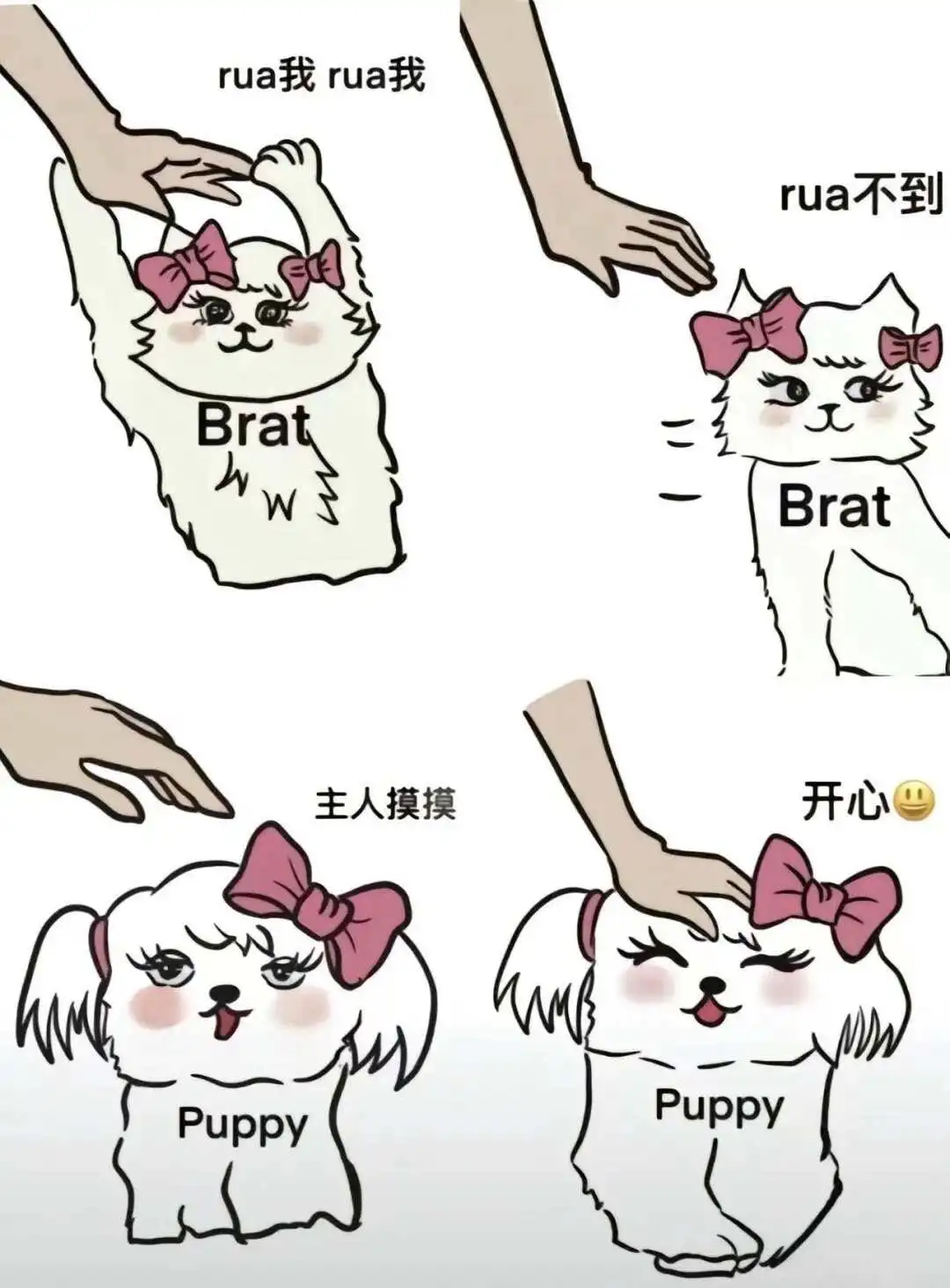 西檬之家-字母圈新人如何入圈？