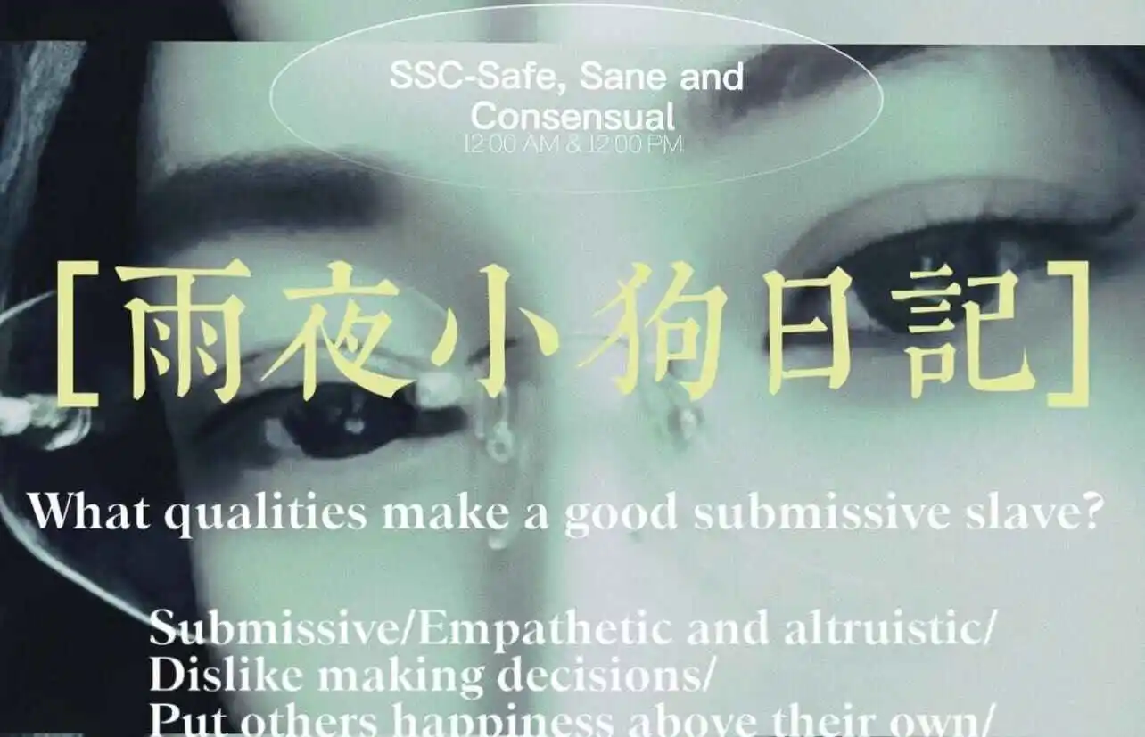 【西檬之家】Sp是字母圈什么？新人入门权威指南