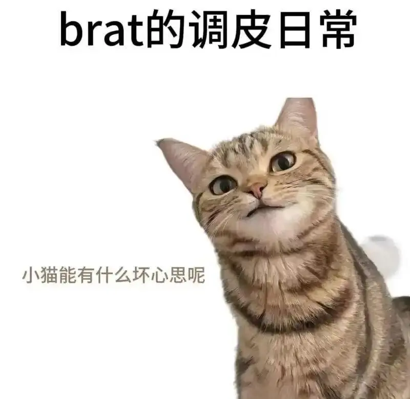 【西檬之家】DDLG是什么？解密字母圈中基于信任的情感发展模式