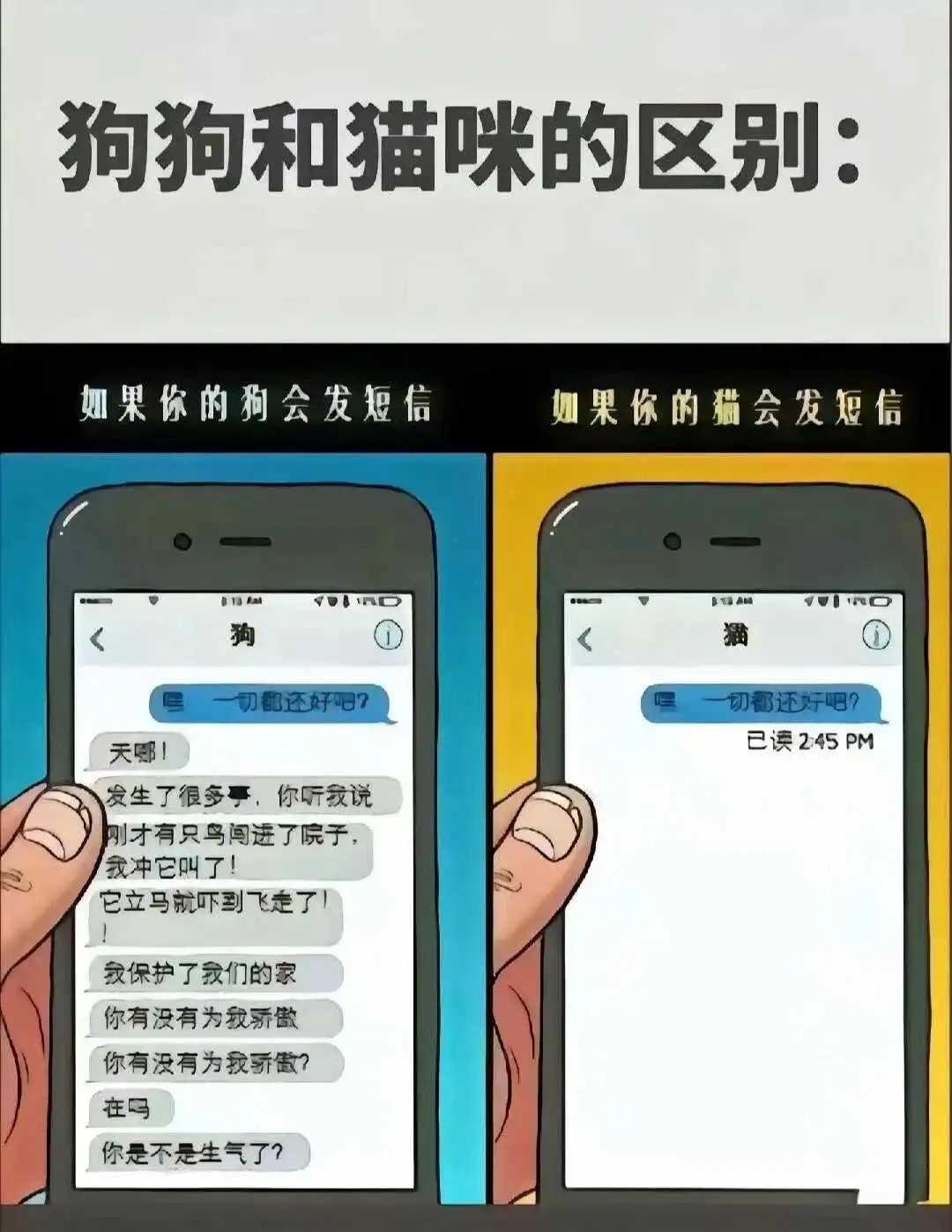 西檬之家-PE是什么意思？BDSM权力交换的奥秘