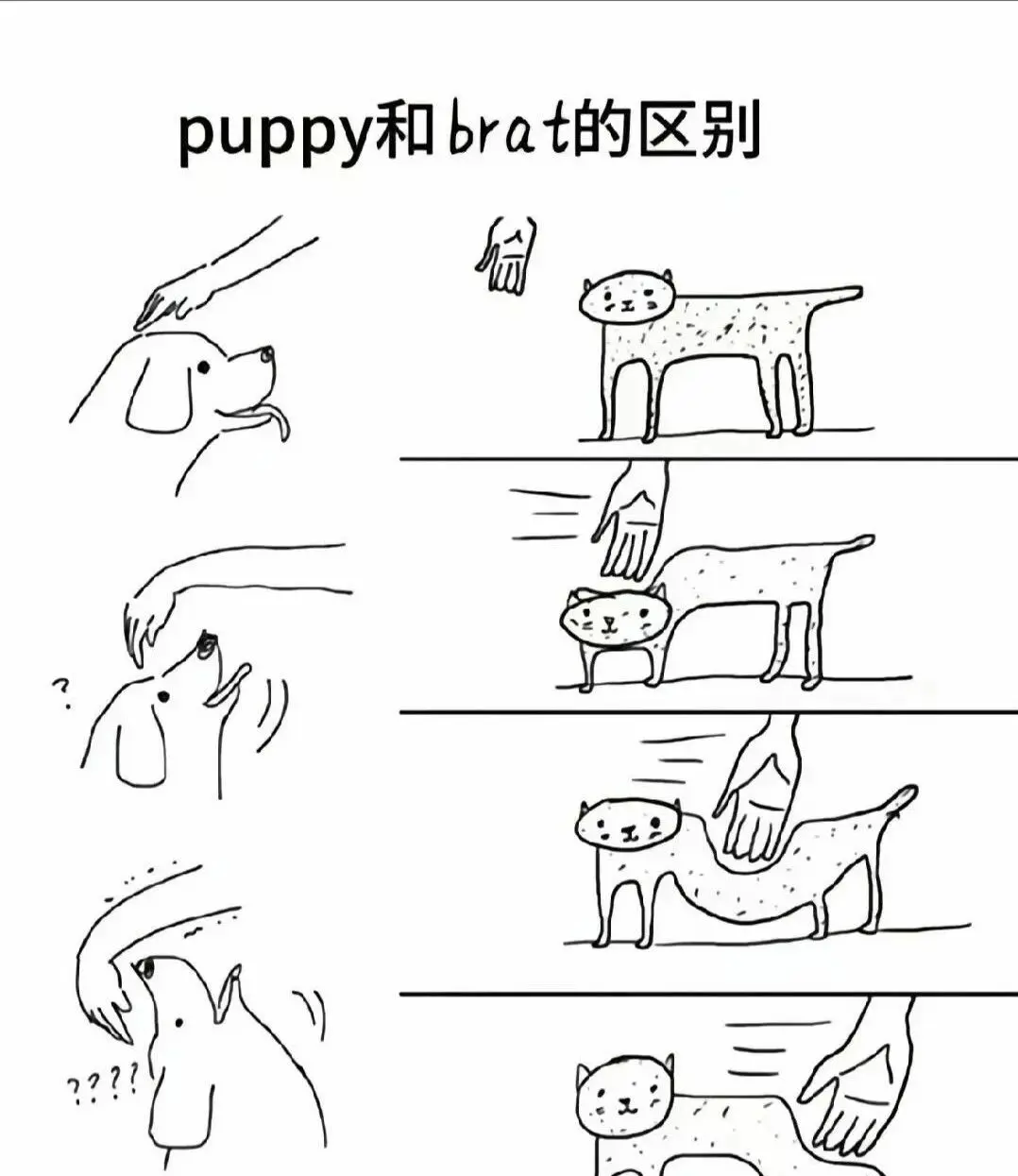 **西檬之家-字母圈Sp实践指南**