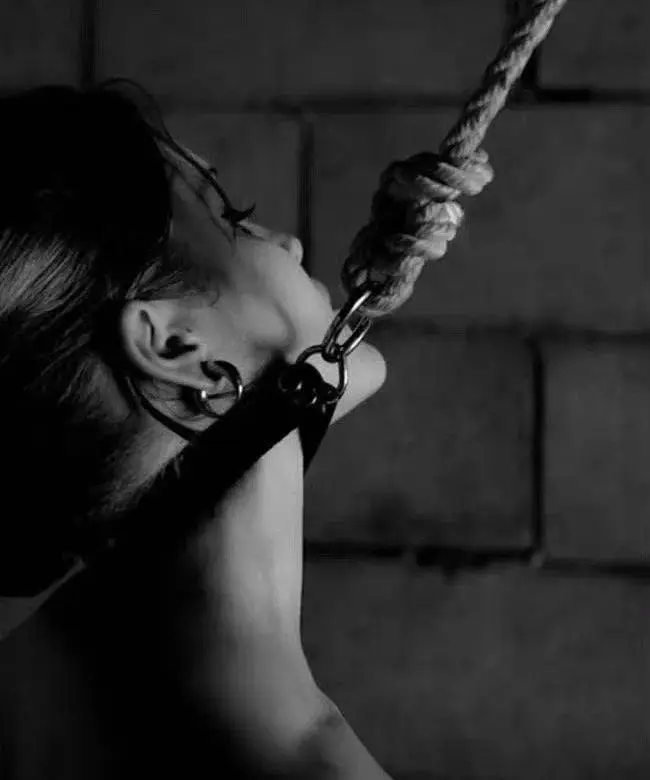 s属性 - 微信图片_20251203212920_111_19
