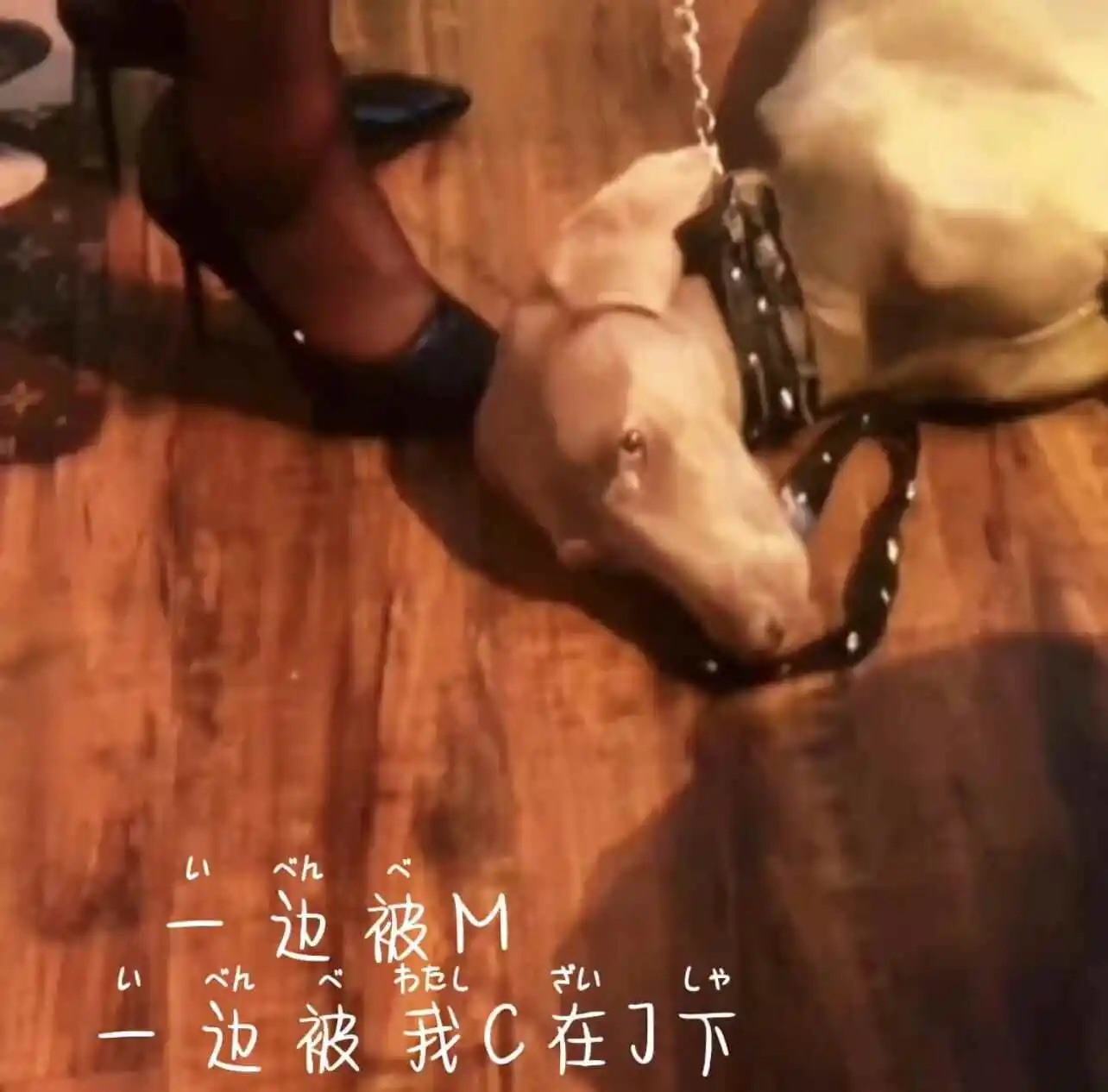 【西檬之家】BDSM新人必读：核心术语与安全指南